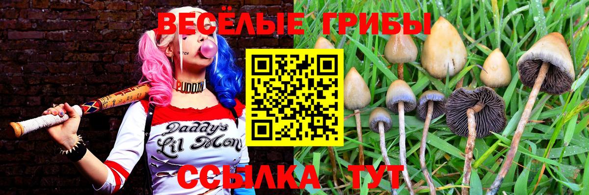 Псилоцибиновые грибы ЛСД  Вход с VPN  Чусовой 